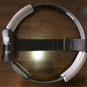 Nintendo Ring-Con with Gray and Black Accents